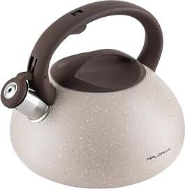 FLORINA Wasserkessel (2,5 l) I Edelstahl Teekessel 
