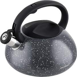 FLORINA Wasserkessel (2,5 l) I Edelstahl Teekessel 
