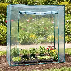 Foliengewächshaus transparent mit Tür - 170 x 80 