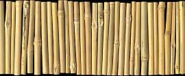 Fototapete ARCHITECTS PAPER "Bambus on