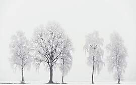 Fototapete ARCHITECTS PAPER "Frozen