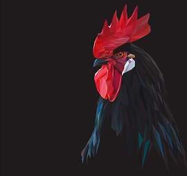 Fototapete ARCHITECTS PAPER "Le Coq