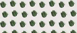 Fototapete ARCHITECTS PAPER "Leaf