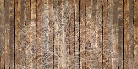Fototapete ARCHITECTS PAPER "Oak