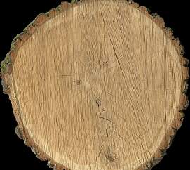 Fototapete ARCHITECTS PAPER "Oak Slice", 