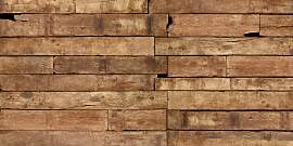 Fototapete ARCHITECTS PAPER "Old Oak