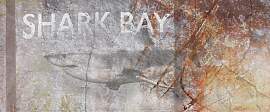 Fototapete ARCHITECTS PAPER "Shark Bay", 