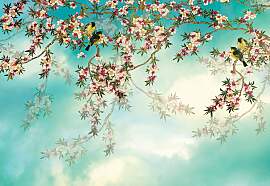 Fototapete KOMAR "Sakura - Größe 368 x 254