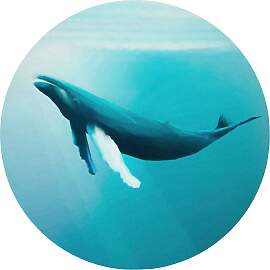 Fototapete KOMAR "Vlies selbstklebend - Whale 