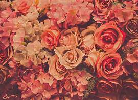 Fototapete LIVING WALLS "Designwalls Flower
