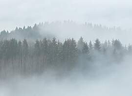 Fototapete LIVING WALLS "Designwalls Misty