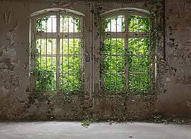 Fototapete LIVING WALLS "Designwalls Old