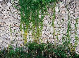 Fototapete LIVING WALLS "Natursteinmauer