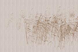 Fototapete LIVING WALLS "Walls by Patel At