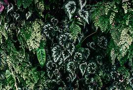 Fototapete LIVING WALLS "Walls by Patel Deep