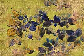 Fototapete LIVING WALLS "Walls by Patel