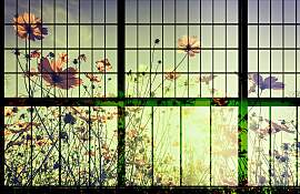 Fototapete LIVING WALLS "Walls by Patel