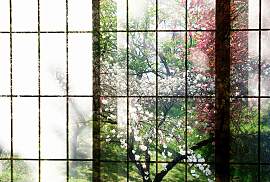 Fototapete LIVING WALLS "Walls by Patel