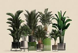 Fototapete LIVING WALLS "Walls by Patel Plant 