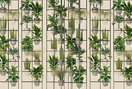 Fototapete LIVING WALLS "Walls by Patel Plant 