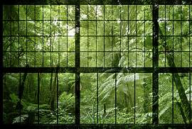 Fototapete LIVING WALLS "Walls by Patel