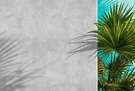 Fototapete LIVING WALLS "Walls by Patel