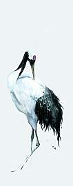 Fototapete MARBURG "Schwan",