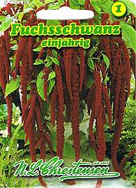 Fuchsschwanz 'rotblättrig' einjährig,