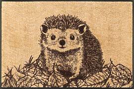 Fußmatte "Hedgy", bunt, B:50cm H:7mm