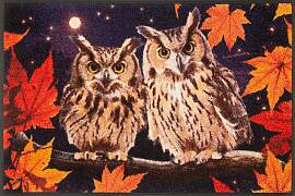 Fußmatte "Night Owls", bunt, B:50cm