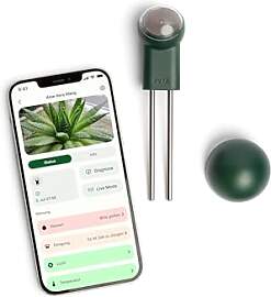 FYTA Beam G1 Smarter Pflanzensensor + WiFi-Hub