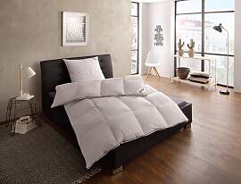 Gänsedaunenbettdecke FJÖDUR "Franzisk,