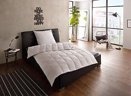 Gänsedaunenbettdecke FJÖDUR "Franzisk,