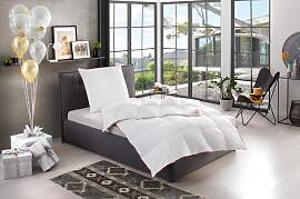 Gänsedaunenbettdecke + Kopfkissen RIBECO