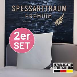 Gänsedaunenkopfkissen SPESSARTTRAUM