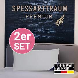 Gänsedaunenkopfkissen SPESSARTTRAUM
