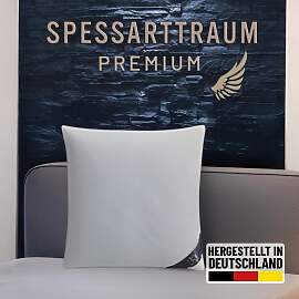 Gänsedaunenkopfkissen SPESSARTTRAUM