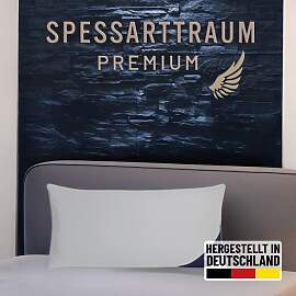 Gänsedaunenkopfkissen SPESSARTTRAUM