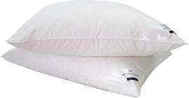 Gänsefederkopfkissen BILLERBECK "Ginnie 15,