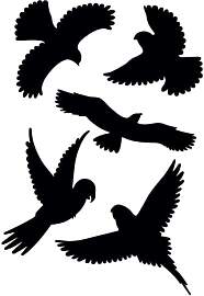 GARDIGO® Vogelschutz Aufkleber | Vogelabwehr