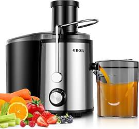 GDOR Entsafter 800W Juicer aus Edelstahl 76mm