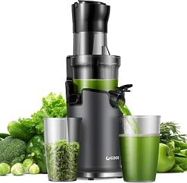 GDOR Slow Juicer Entsafter für Gemüse und Obst