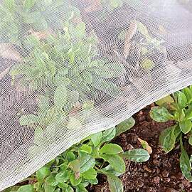 Gemüse Schutznetz Garten Insekten Netz: 2x10m