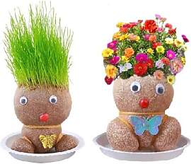 Generisch Graskopf Puppenpflanze, Graskopf Kinder, 