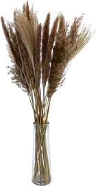Getrocknetes Pampasgras Bouquet in Glasvase - 72