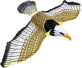 Giftik Leuchtender Vogel schrecklicher