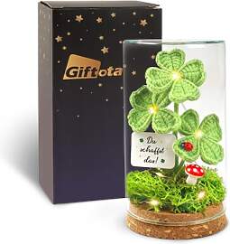 Giftota Glücksbringer Positive Geschenke,