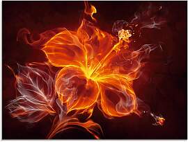 Glasbild ARTLAND "Feuerblume", rot