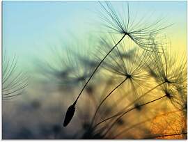 Glasbild ARTLAND "Goldener Sonnenuntergang
