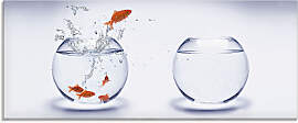 Glasbild ARTLAND "Goldfischaquarium",